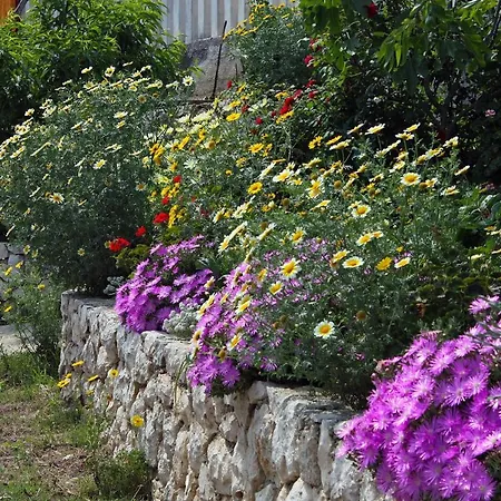 Twin 4907b 3* Saplunara