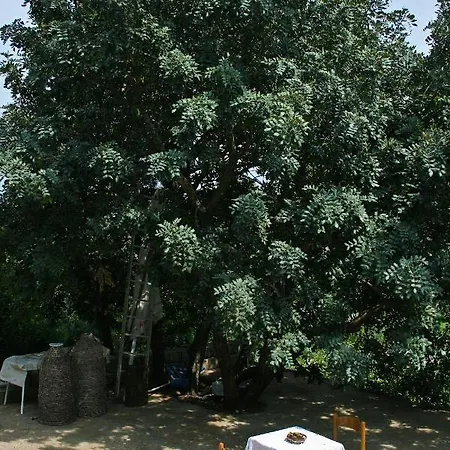 Twin 4907b Saplunara