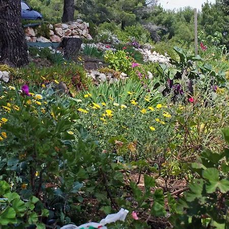 Twin 4907b Saplunara